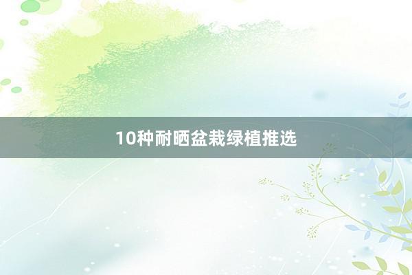 10种耐晒盆栽绿植推选