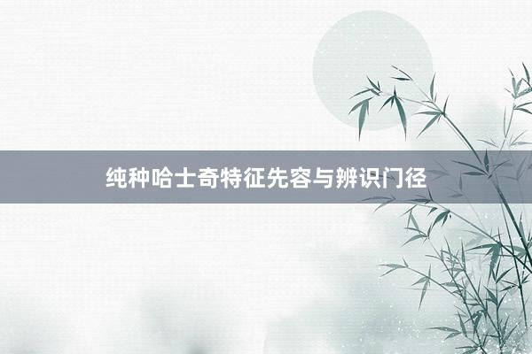 纯种哈士奇特征先容与辨识门径