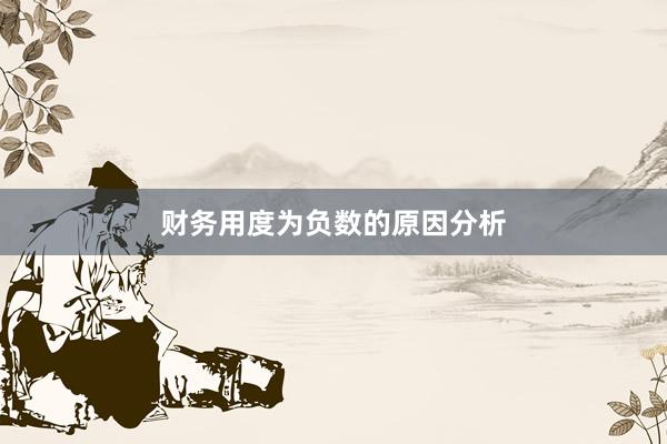 财务用度为负数的原因分析